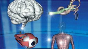Uncover the science behind dizziness and vertigo