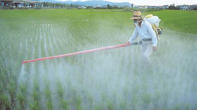 insecticide application
