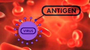 Discover how constantly mutating viruses are a challenge to a universal flu vaccine