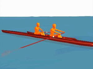 Break down the continuous stroke cycle of rowing's two-person sweep into four phases