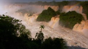 Observe how the rise of waters in the Iguaçu River turns into dramatic waterfalls and how the dusky swifts build their nest behind the falling water