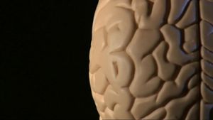 Learn about human intelligence and tests to measure intelligence quotient (IQ)