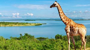 Follow the course of the longest river in the world, the Nile