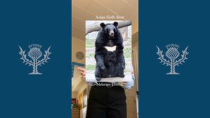Explore our favorite facts about bears